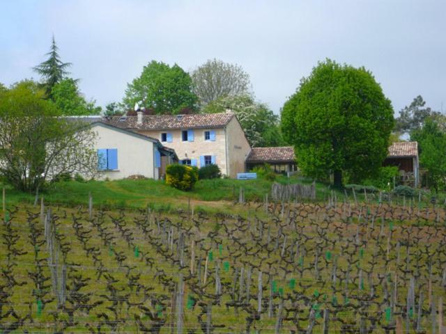 Chateau Regaldo-Saint Blancard Salleboeuf Exterior photo